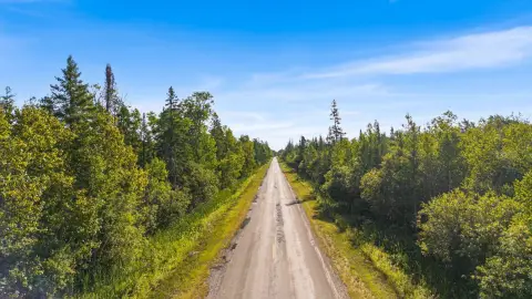 38.46 Acres Wooded Land