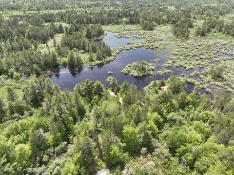 Hunting and Recreation Land