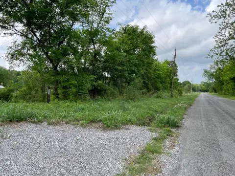 Wooded Vacant Land with Driveway