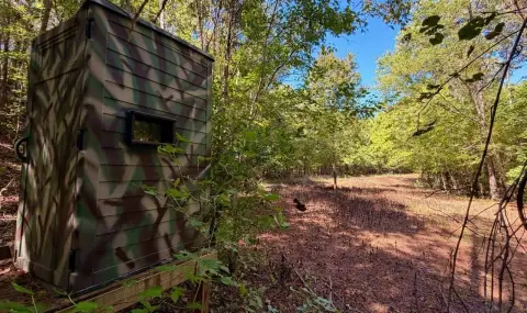 Hunting Land with Food Plots