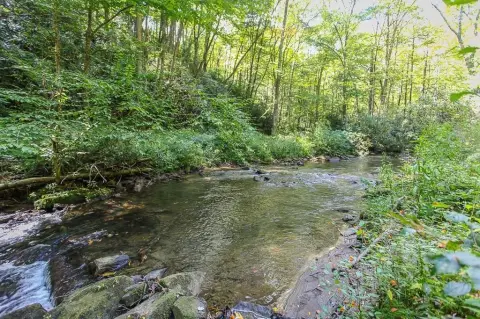 Forested Waterfront Recreational Land