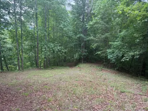 Mountain Homesite Land Parcel
