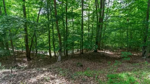 Wooded Residential Land Tract