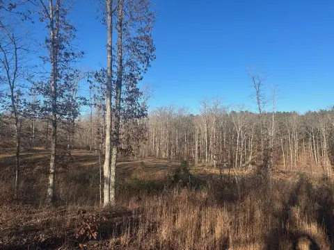 Land with Cabin and Barn