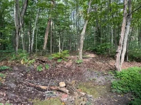 Wooded Lot Near South Perch Lake