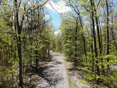 Wooded Land Near Otsego Lake
