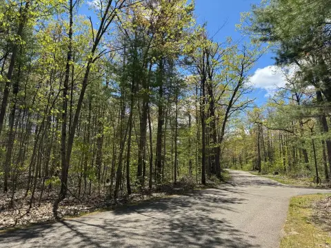 Wooded Land Near Otsego Lake