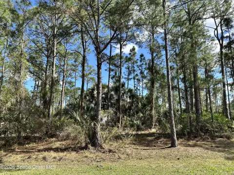 Residential Land in Growing Area