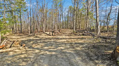 Land in Strunk, Kentucky