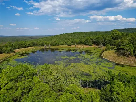 Wooded Hunting Land