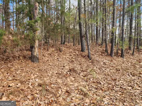 Commercial Land in Loganville, GA