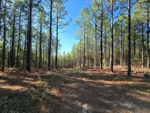 Wooded Recreation Land