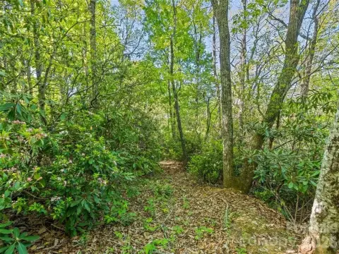 Wooded Mountain Home Lot