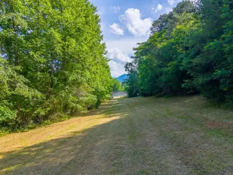 Unrestricted Farmland with Stream