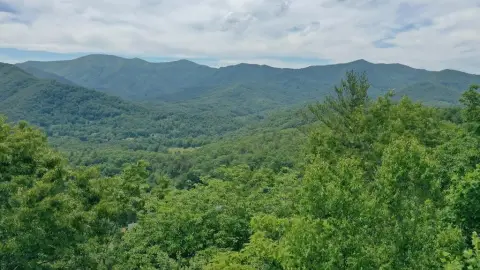 Mountain Ridge View Home Lot
