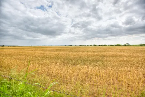 Productive Farmland on Highway 83