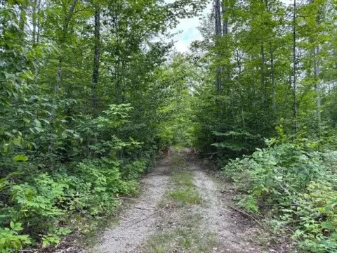 41 Acres Hunting Land, Presque Isle