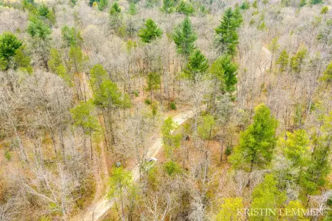 White Cloud Land Near Forest