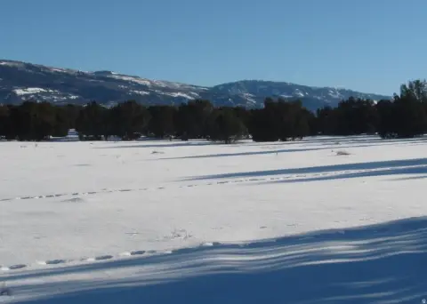 Spacious Land in Juniper Spring