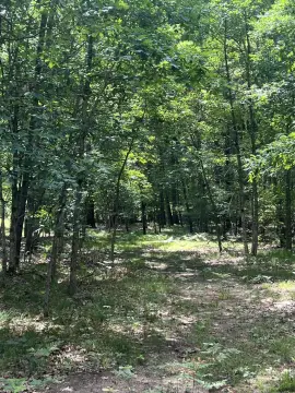 Wooded Recreation Land Parcel