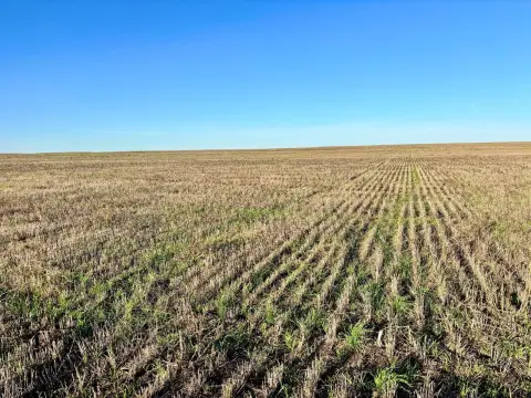 Cropland with Road Access