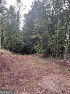 Wooded Agricultural Land
