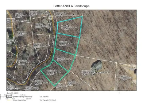 Adjoining Wooded Residential Lots