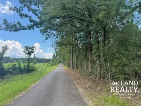 Timberland Homesite Tract