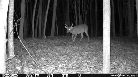 Wooded Land with Pole Barn