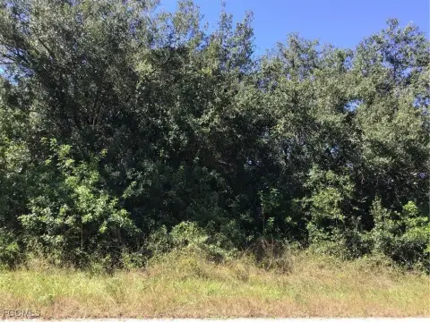 Lehigh Acres Oversized Residential Lot