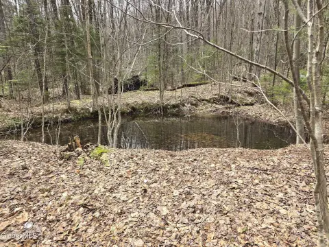 Vermont Land with Pond