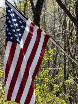 Livingston, KY Land For Sale