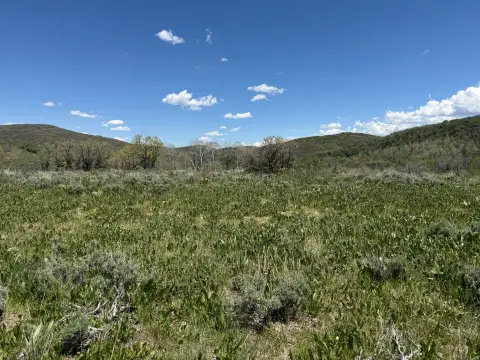 Agricultural Land Parcel with Creek