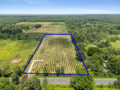 Agricultural Land with Blueberry Rows