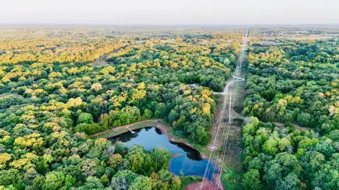 Hunting Land with Furnished Cabin