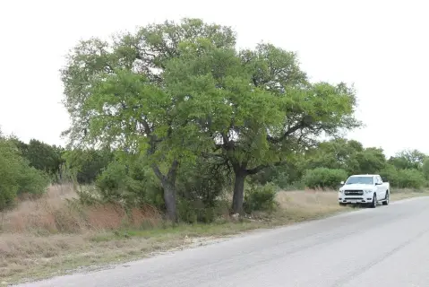 Bertram, TX Land For Sale
