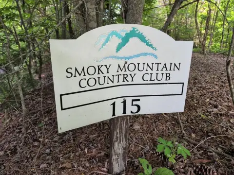 Semi-Wooded Homesite with Paved Access