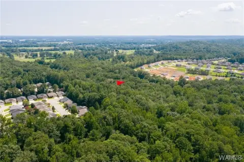 Unrestricted Land in Northport, Alabama