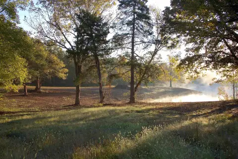 Scenic Land Homesite in Moscow, TN