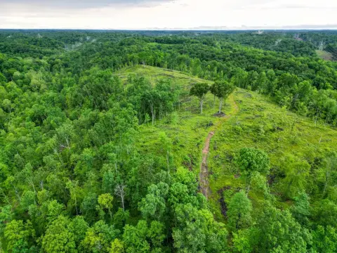 Hunting and Recreational Land Tract