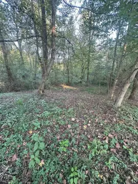 Wooded RV Resort Lot