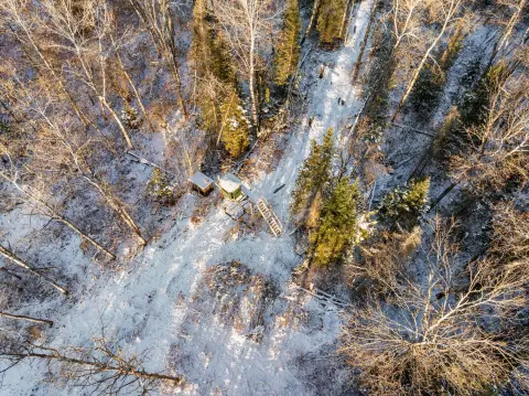 Wolverine, MI Hunting/Recreation Land