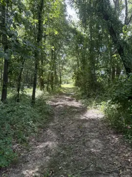9.4 Acres Wooded Retreat