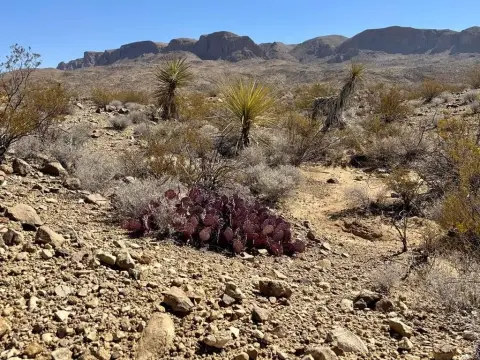 Terlingua Land with Mountain Views