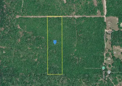 Wooded Recreational Land