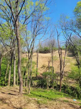 Richmond, KY Estate Tract