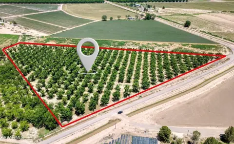 Pecan Producing Farmland with Irrigation