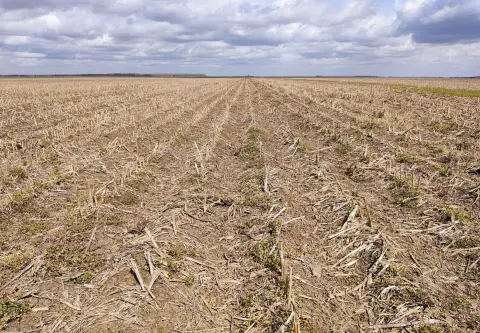 160 Acres Irrigated Farmland