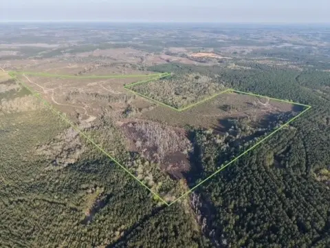 Holmes County Hunting and Recreational Land