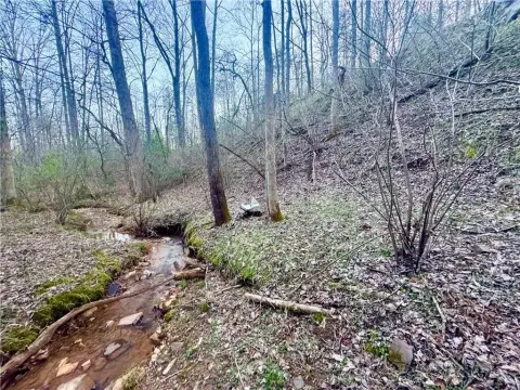 Secluded Wooded Parcel in Dahlonega